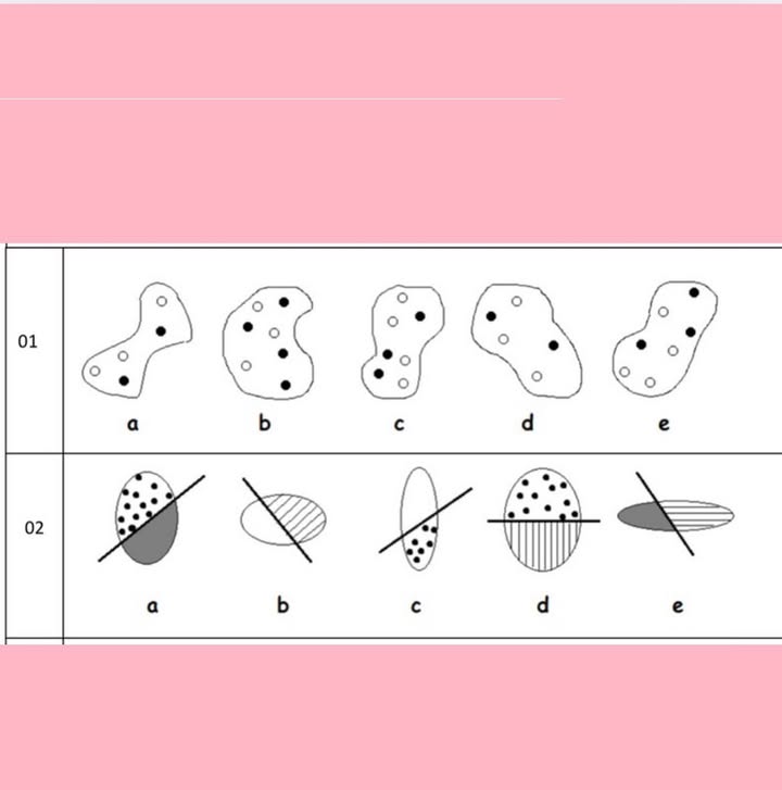 The club’s original visual reasoning exercise